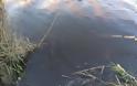Αχαϊα: Καταγγελία για για ύποπτα υπολείμματα ελαιοτριβείων στον ποταμό Πείρο