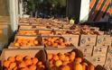 Δεκαπέντε τόνοι πορτοκάλια στους δικαιούχους κοινωνικών προγραμμάτων από τον Δήμο Ιλίου