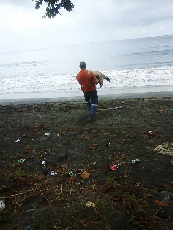 ΜΠΡΑΒΟ! Αυτός ο άντρας, αγοράζει χελώνες και τις αφήνει στον ωκεανό [photos] - Φωτογραφία 3