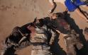 Εκατόμβη νεκρών ισλαμιστών σε Λαττάκεια και Χαλέπι - Επέλαση του συριακού Στρατού σε όλα τα μέτωπα [ΠΡΟΣΟΧΗ ΣΚΛΗΡΕΣ ΕΙΚΟΝΕΣ] - Φωτογραφία 21