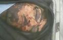 Εκατόμβη νεκρών ισλαμιστών σε Λαττάκεια και Χαλέπι - Επέλαση του συριακού Στρατού σε όλα τα μέτωπα [ΠΡΟΣΟΧΗ ΣΚΛΗΡΕΣ ΕΙΚΟΝΕΣ] - Φωτογραφία 30