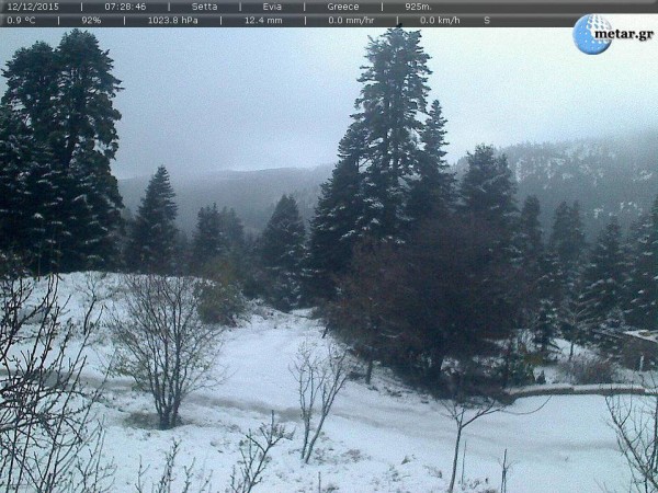 Στα λευκά η Πάρνηθα - Το χιόνι στους πέντε πόντους! [photos] - Φωτογραφία 4
