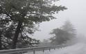 Στα λευκά η Πάρνηθα - Το χιόνι στους πέντε πόντους! [photos]