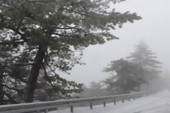Στα λευκά η Πάρνηθα - Το χιόνι στους πέντε πόντους! [photos]