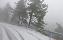 Στα λευκά η Πάρνηθα - Το χιόνι στους πέντε πόντους! [photos] - Φωτογραφία 2