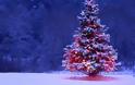 Η ιστορία του χριστουγεννιάτικου δέντρου - Φωτογραφία 1