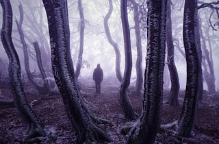Τα πιο μυστήρια δάση όλων των εποχών [photos] - Φωτογραφία 1