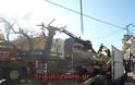 Τρομερή επιχείρηση κοπής πλάτανου στα Τρίκαλα... [photos] - Φωτογραφία 3