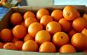 Πορτοκάλια στους δικαιούχους κοινωνικών προγραμμάτων από τον Δήμο Θηβαίων