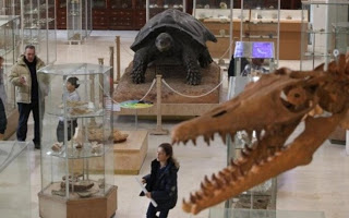 Ταξίδι στο χρόνο από το Μουσείο Παλαιοντολογίας και Γεωλογίας - Φωτογραφία 1