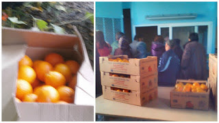 Πανζουρλισμός στην Ξάνθη για δωρεάν φρούτα σε τρίτεκνους και πολύτεκνους - Φωτογραφία 1