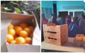 Πανζουρλισμός στην Ξάνθη για δωρεάν φρούτα σε τρίτεκνους και πολύτεκνους