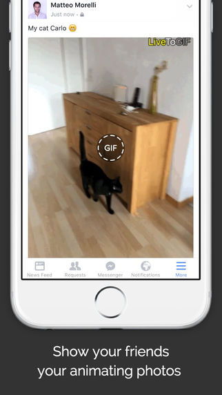 Live to GIF : AppStore new free - Φωτογραφία 5