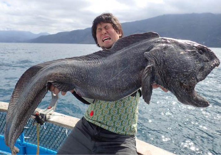 ΤΡΟΜΑΚΤΙΚΟ! Ψαριά από την… κόλαση! Δείτε τι έβγαλε αυτός ο Ιάπωνας ψαράς [photo] - Φωτογραφία 3