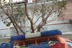 Απίστευτη εικόνα: Επαγγελματικό ΙΧ με φάρο της αστυνομίας στα Τρίκαλα