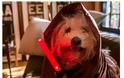 Και ο σκύλος του Ζούκερμπεργκ θαυμαστής του Star Wars - Φωτογραφία 2