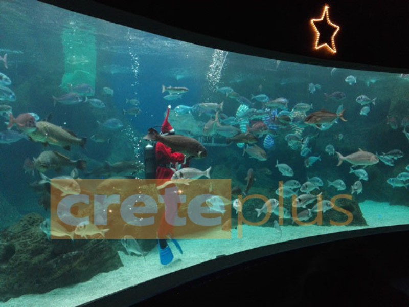 Χριστούγεννα στο Ενυδρείο Κρήτης με τον υποβρύχιο Άγιο Βασίλη! [photo+video] - Φωτογραφία 3