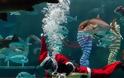 Χριστούγεννα στο Ενυδρείο Κρήτης με τον υποβρύχιο Άγιο Βασίλη! [photo+video] - Φωτογραφία 1