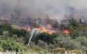 Πυρκαγιά στην ορεινή Ξάνθη – Μάχη με τις φλόγες έδωσαν οι Πυροσβέστες