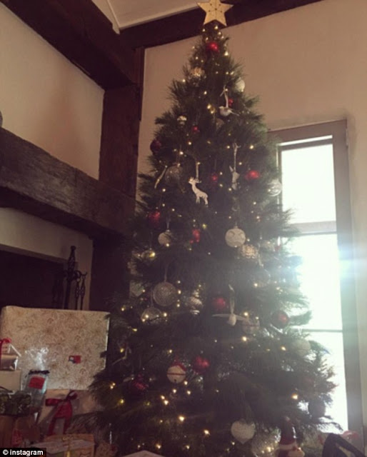 Δείτε το Χριστουγεννιάτικο δέντρο της Miranda Kerr... [photo] - Φωτογραφία 2