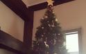 Δείτε το Χριστουγεννιάτικο δέντρο της Miranda Kerr... [photo] - Φωτογραφία 2