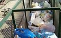 ΑΙΣΧΟΣ: Από αυτό το καρότσι τρώνε οι άπορες οικογένειες στα Τρίκαλα [photos]