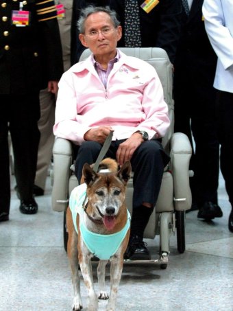 Η Ταϊλάνδη πενθεί για τη σκυλίτσα του βασιλιά - Φωτογραφία 2
