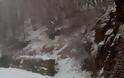 Χιονόπτωση στο Πήλιο: Σε λευκό κλοιό ο Βόλος - Με αλυσίδες από Πορταριά και πάνω η κυκλοφορία [photos] - Φωτογραφία 3