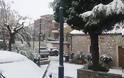 Έντυσαν στα λευκά τα πρώτα χιόνια την Κρήτη !