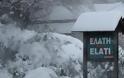 Τρίκαλα: Είδαν άσπρη μέρα παραμονή πρωτοχρονιάς-χιόνια σε όλο το νομό-γέμισε το χιονοδρομικό [photos+video] - Φωτογραφία 1