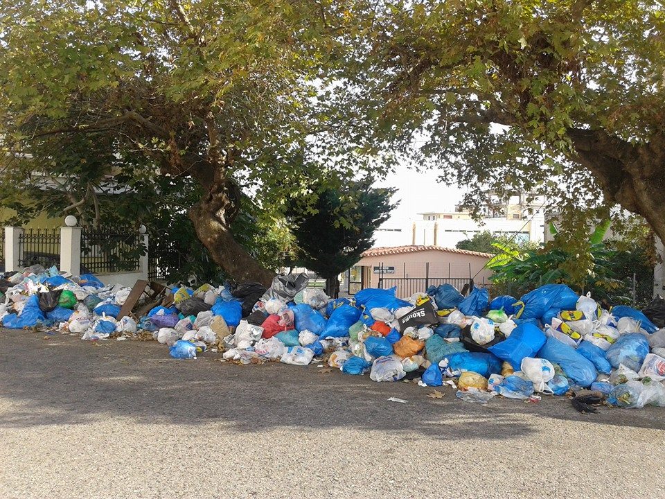 ΔΗΜΟΣ ΠΥΡΓΟΥ: Κάλαντα και Πρωτοχρονιά μέσα στα «βουνά» των σκουπιδιών, την βρώμα και τα ποντίκια [photos] - Φωτογραφία 12