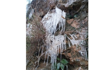 Όταν η φύση στολίζεται, εμείς...απολαμβάνουμε! [photos] - Φωτογραφία 5