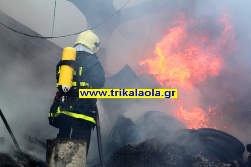 Τρίκαλα: Κάηκε ζωντανός στο χοιροστάσιό του 72χρονος - Φωτογραφία 2