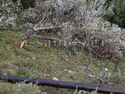 Tα πήρε και τα σήκωσε ανεμοστρόβιλος στη Σάμο! - Φωτογραφία 8