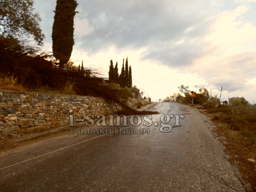 Tα πήρε και τα σήκωσε ανεμοστρόβιλος στη Σάμο! - Φωτογραφία 9