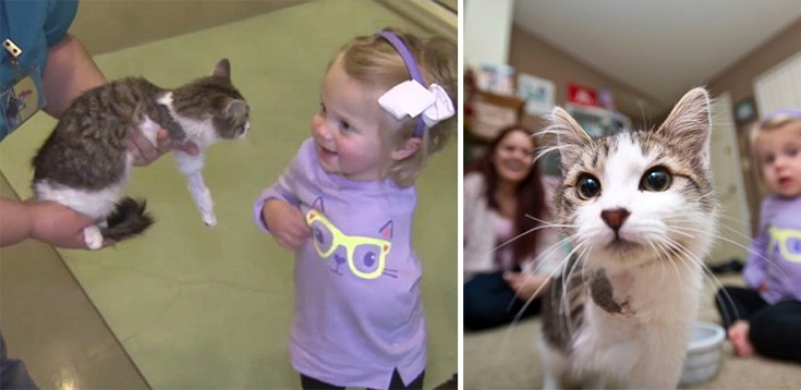 Η συγκινητική ιστορία της ακρωτηριασμένης 2χρονης με μια γάτα με τρία πόδια - Φωτογραφία 2