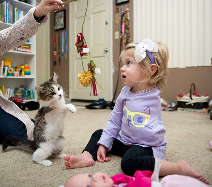 Η συγκινητική ιστορία της ακρωτηριασμένης 2χρονης με μια γάτα με τρία πόδια - Φωτογραφία 3