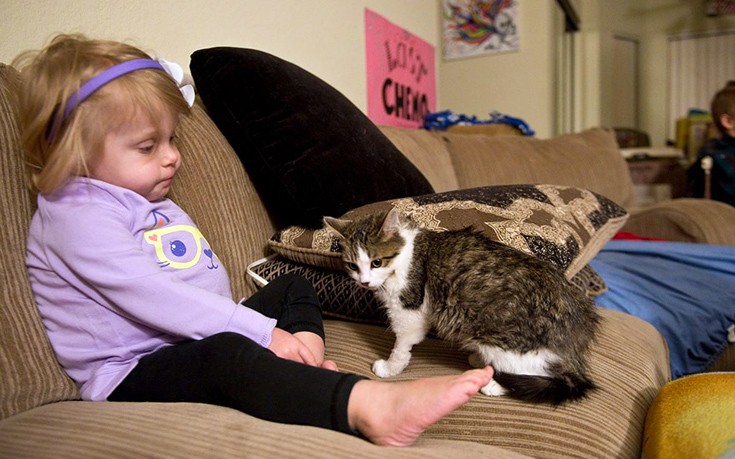 Η συγκινητική ιστορία της ακρωτηριασμένης 2χρονης με μια γάτα με τρία πόδια - Φωτογραφία 5