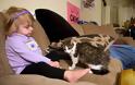 Η συγκινητική ιστορία της ακρωτηριασμένης 2χρονης με μια γάτα με τρία πόδια