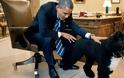 Απίστευτο: Ψυχοπαθής σχεδίαζε να απαγάγει τα σκυλιά του Ομπάμα