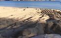 Βάλτος Πάργας: Έβαλαν τα καπάκια του βιολογικού κυριολεκτικά ΜΕΣΑ στην άμμο