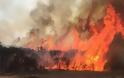 Νεκροί δύο άνθρωποι από πυρκαγιά στη δυτική Αυστραλία