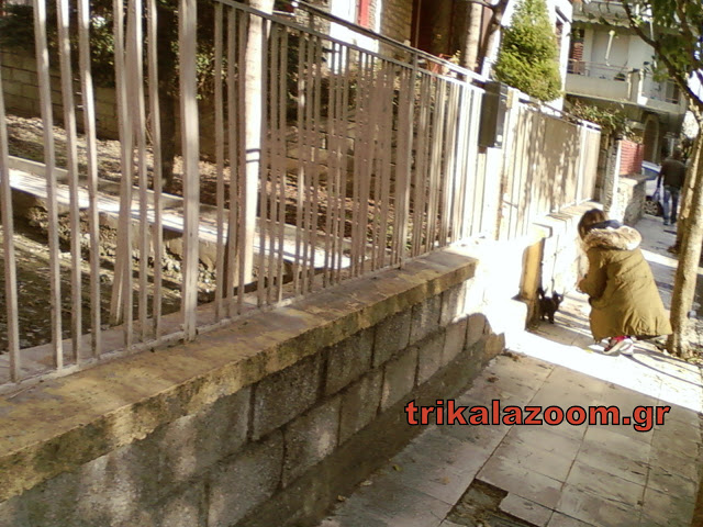 Μαθήματα ανθρωπιάς στα Τρίκαλα - Ταΐζει τις γατούλες του δρόμου [photo] - Φωτογραφία 2