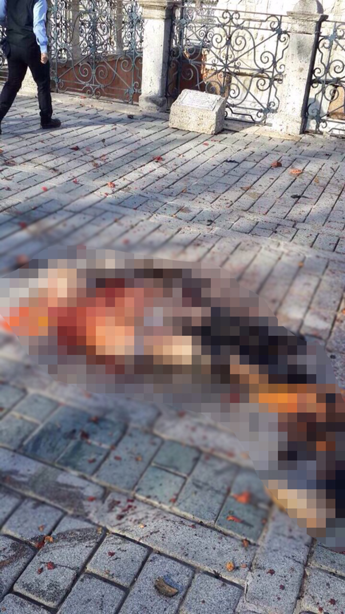 Τρομοκρατία στην καρδιά της Κωνσταντινούπολης: 10 νεκροί, πολλοί τραυματίες - Φωτογραφία 3