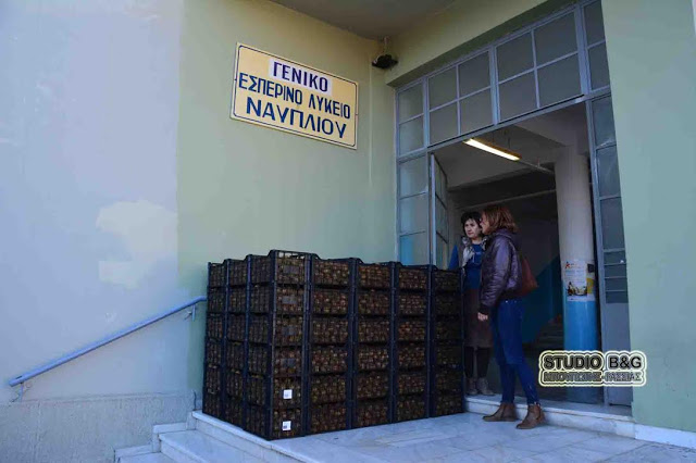 Δωρεάν διανομή φρούτων σε σχολεία στο Ναύπλιο - Φωτογραφία 2