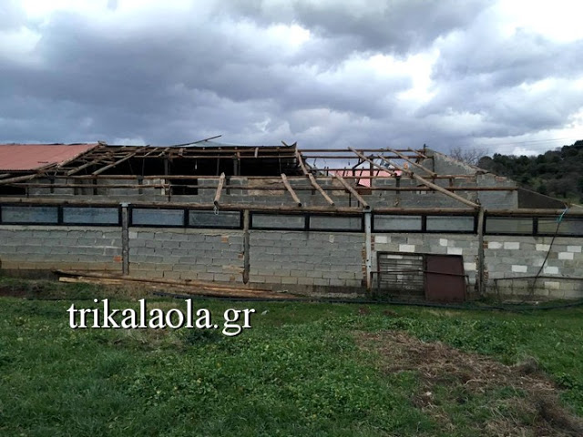 Τρίκαλα: Μεγάλες ζημιές από Ανεμοστρόβιλο σε κτηνοτροφική μονάδα - Φωτογραφία 2