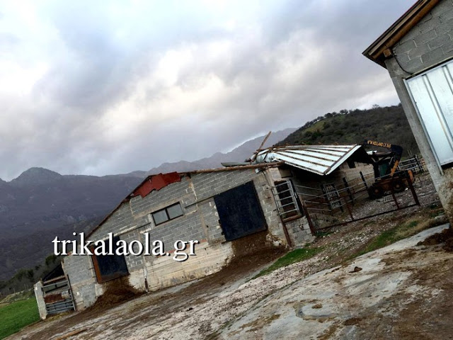 Τρίκαλα: Μεγάλες ζημιές από Ανεμοστρόβιλο σε κτηνοτροφική μονάδα - Φωτογραφία 3