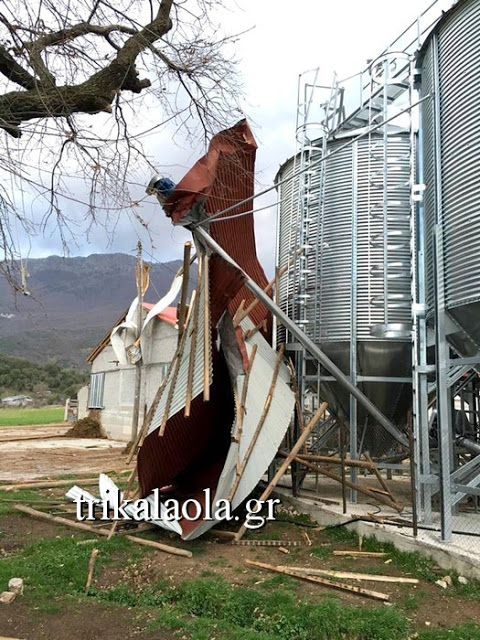 Τρίκαλα: Μεγάλες ζημιές από Ανεμοστρόβιλο σε κτηνοτροφική μονάδα - Φωτογραφία 7