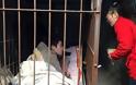 Κίνα: Πατέρας κρατάει φυλακισμένο τον σχιζοφρενή γιο του σε κλουβί [photos]