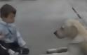 ΣΥΓΚΙΝΗΤΙΚΟ: Η αντίδραση σκύλου όταν συνάντησε παιδάκι με σύνδρομο down [video]
